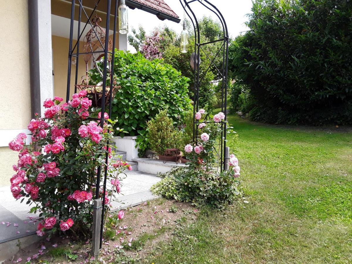 Anna'S Home - Ferienwohnungen Ratsch an der Weinstrasse Exterior photo